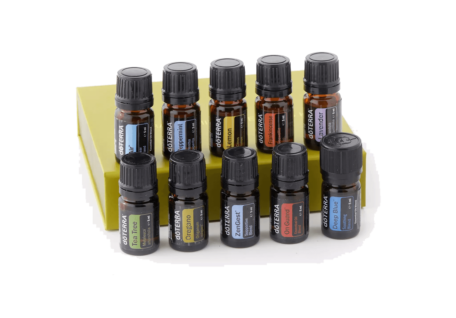 Family Essentials Kit